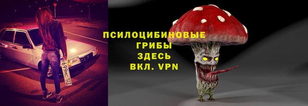 ПСИЛОЦИБИНОВЫЕ ГРИБЫ Балахна