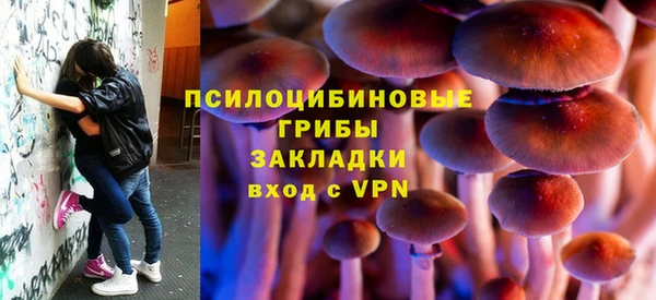 apvp Балабаново