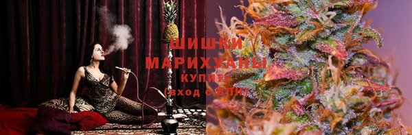 ПСИЛОЦИБИНОВЫЕ ГРИБЫ Балахна